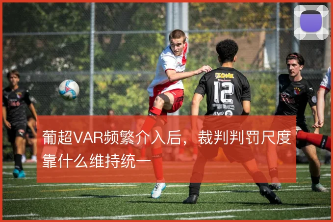 葡超VAR频繁介入后，裁判判罚尺度靠什么维持统一